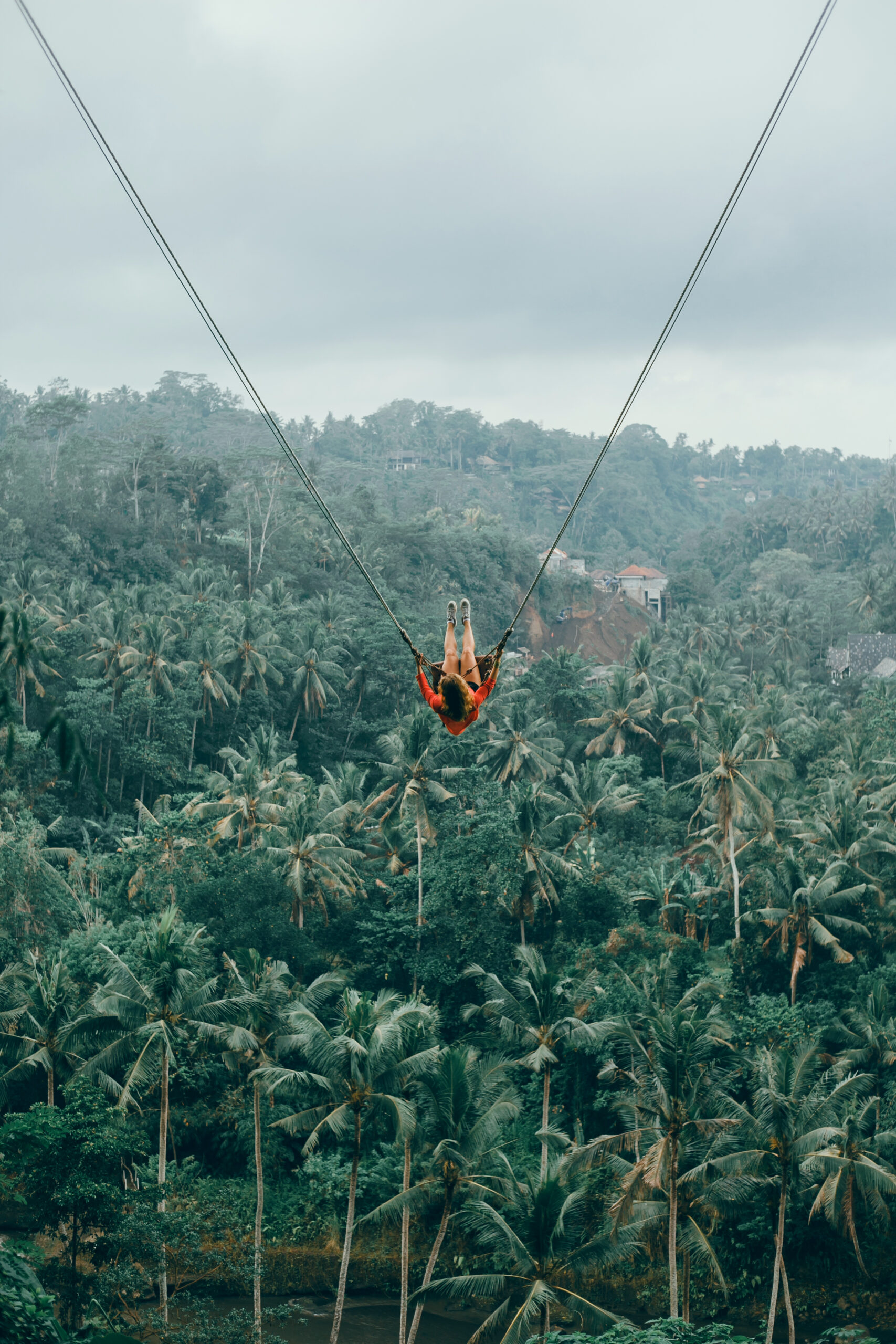 Ubud swing