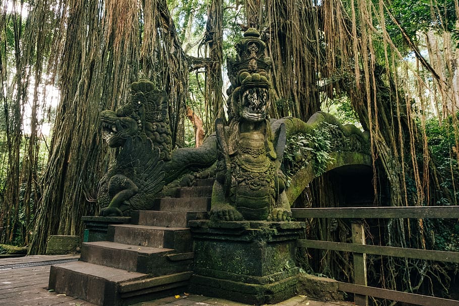 dragon-bridge-surrounded-by-green-trees